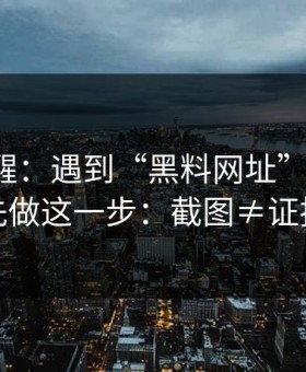冷门提醒：遇到“黑料网址”这类词，先做这一步：截图≠证据