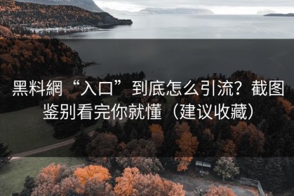 黑料網“入口”到底怎么引流？截图鉴别看完你就懂（建议收藏）