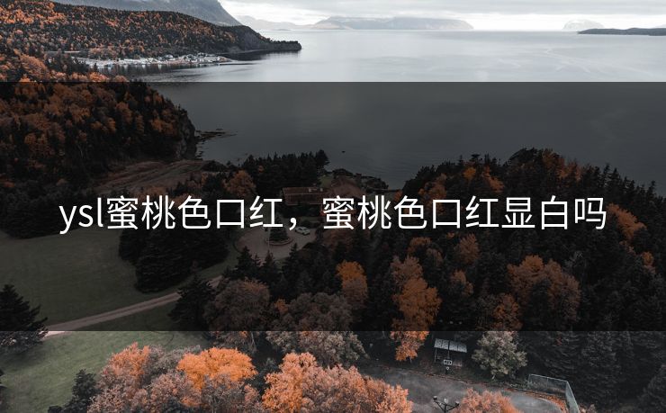 ysl蜜桃色口红，蜜桃色口红显白吗