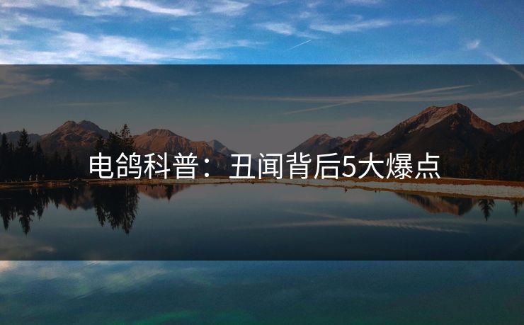 电鸽科普：丑闻背后5大爆点